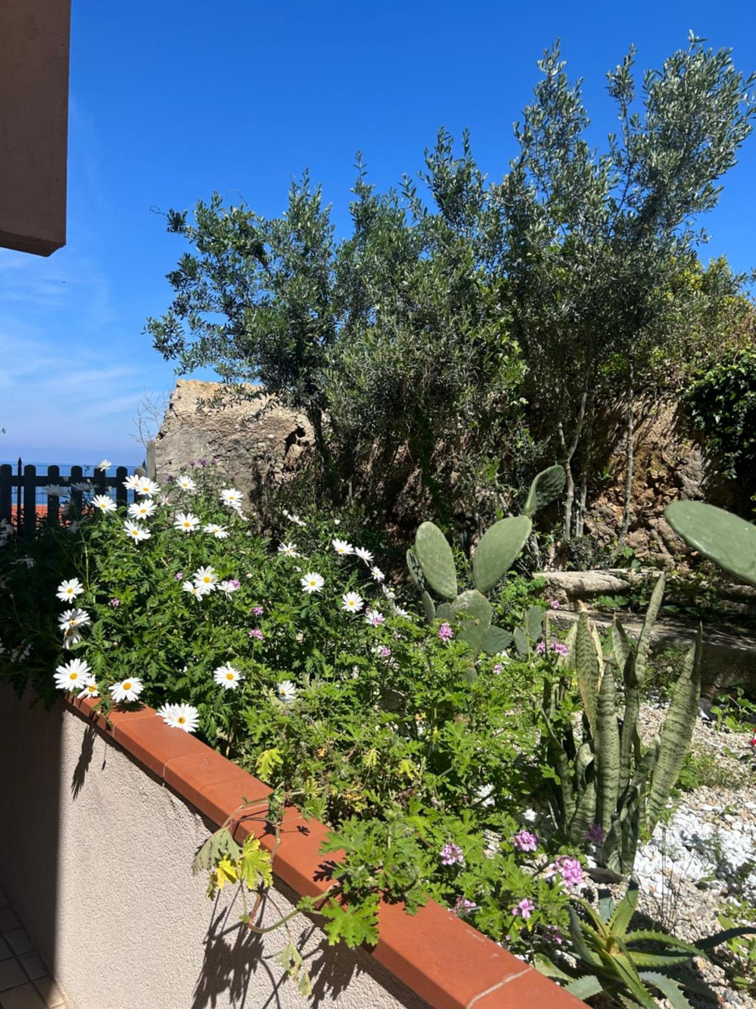 Bed and Breakfast Arcobaleno Tropea Esterno foto